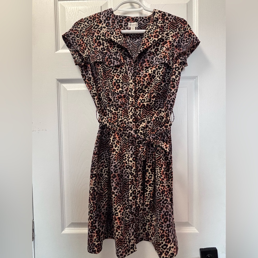 Dynamite Leopard Print Dress